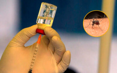 Proponen incorporar la vacuna contra el dengue al Calendario de Vacunación