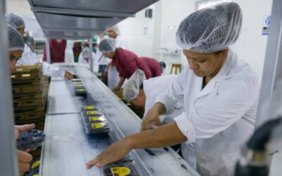 Las pymes industriales profundizan una crisis económica