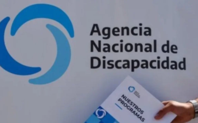 Adorni confirmó que el Gobierno denunciará a la Agencia Nacional de Discapacidad por corrupción