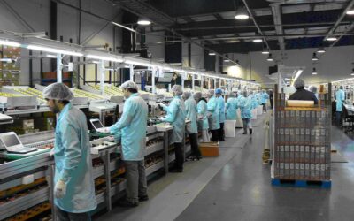 Tercer trimestre positivo: la actividad económica creció 3,9% según el INDEC