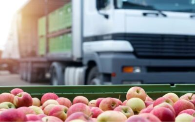 Las PyMEs cerraron 2024 con exportaciones récord y apuntan a más en 2025
