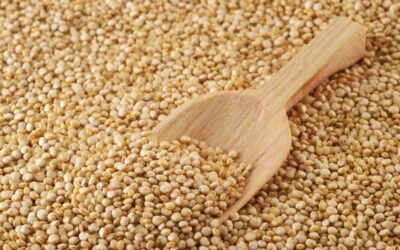 La ANMAT refuerza controles y cambia los procedimientos de importación y exportación de alimentos