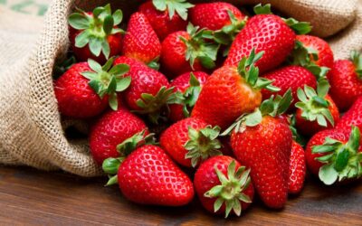 82% más de importaciones en alimentos: el campo en alerta por diciembre crítico