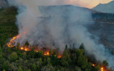 El Bolsón: arrestan a tres sospechosos por los incendios y se producen disturbios en la comisaría
