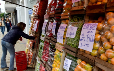 Inflación de febrero: cuáles fueron los rubros que más aumentaron