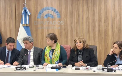 Diputados reclama respuestas sobre los controles a los laboratorios de fentanilo