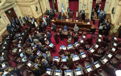 Con el quorum justo, el Senado inició la sesión con dudas en el proyecto de Propiedad Privada