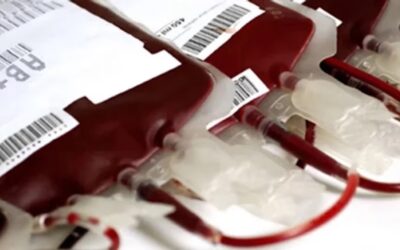 Preocupación por la caída del 30% de las donaciones de sangre