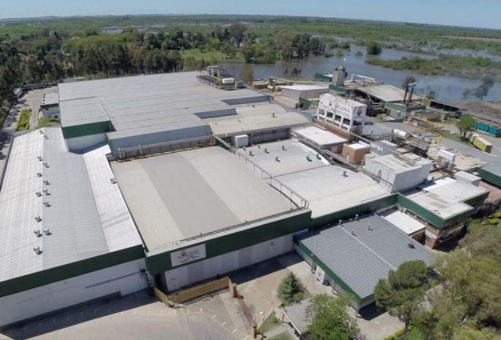 Granja Tres Arroyos despidió a 260 empleados argumentando caída de la actividad por la gripe aviar