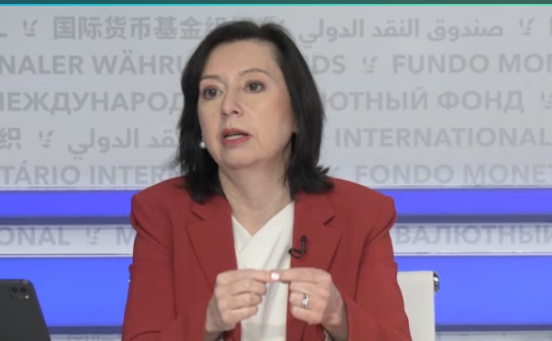 Para el FMI, la mora no es un riesgo para la estabilidad financiera
