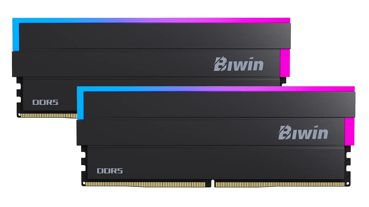 Biwin_Black Opal DW100 (002)